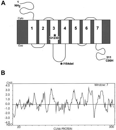 Figure  2