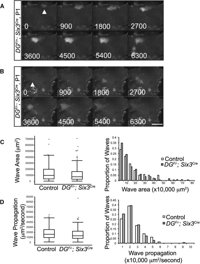 Figure 13.