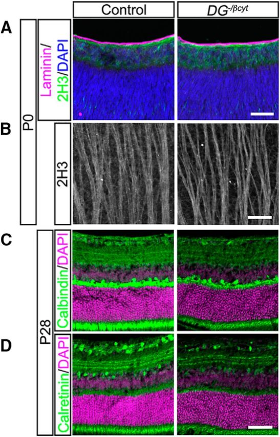 Figure 11.