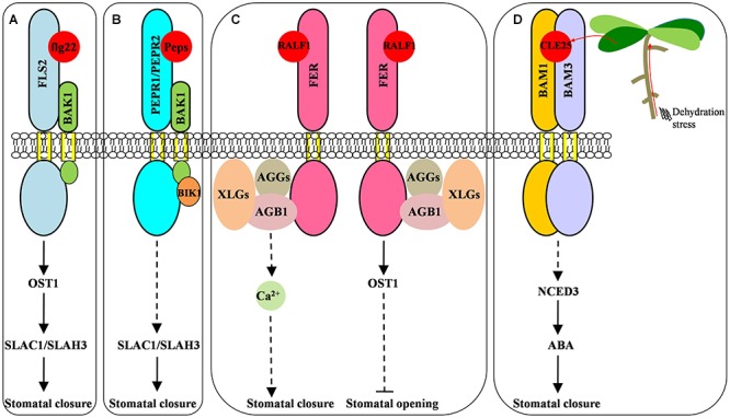 FIGURE 1