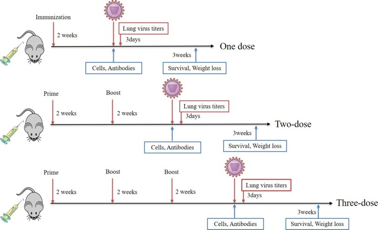 Figure 2.