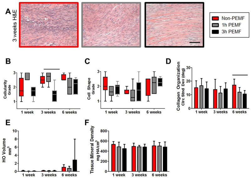 Figure 12.