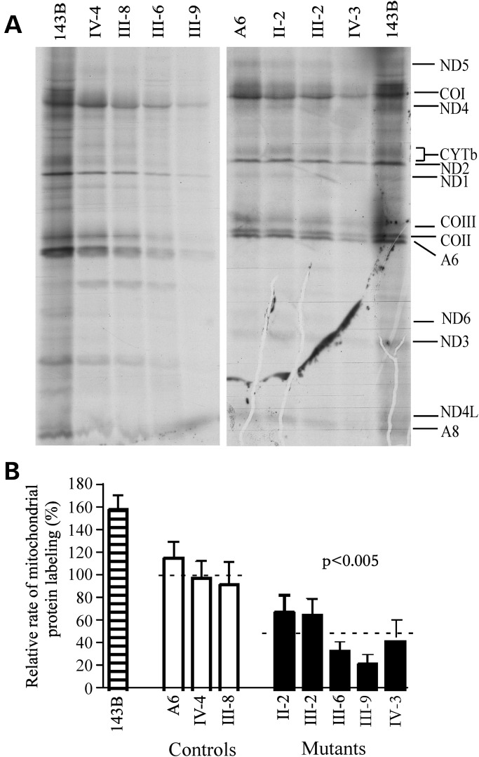 Figure 5.