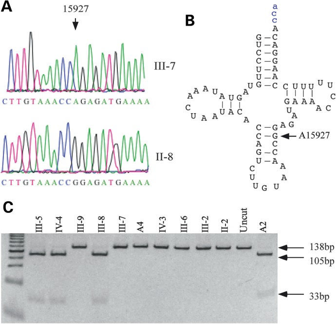 Figure 2.