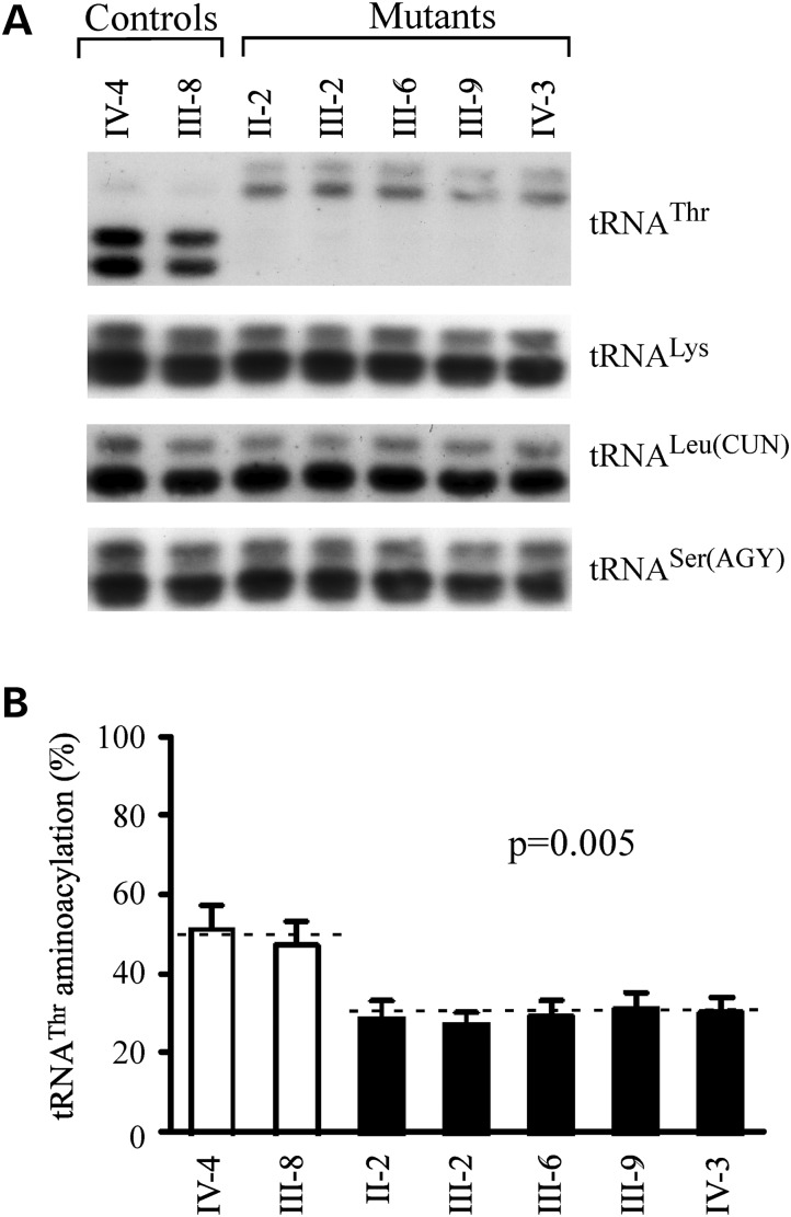 Figure 4.