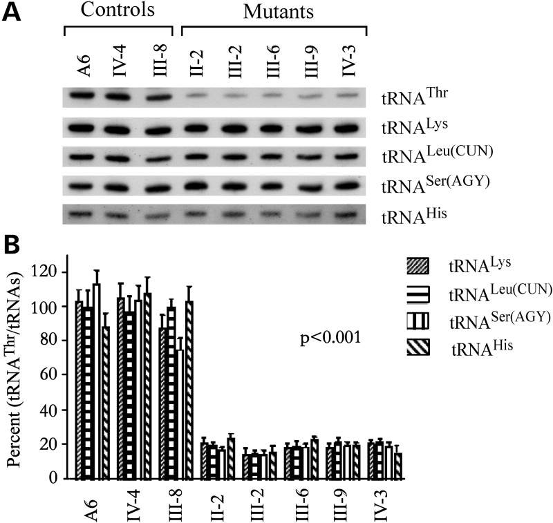 Figure 3.