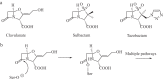 FIG 1