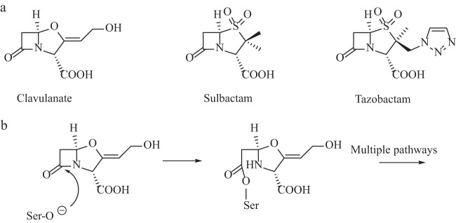 FIG 1