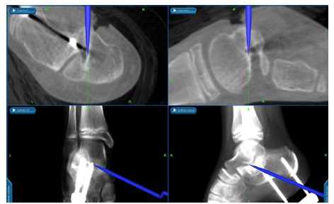 Fig. 7