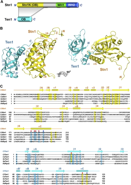 Figure 3.