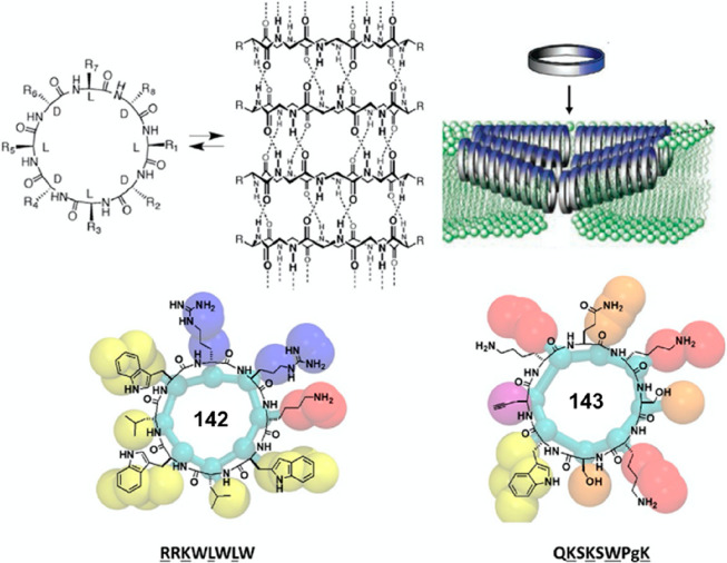 Figure 48