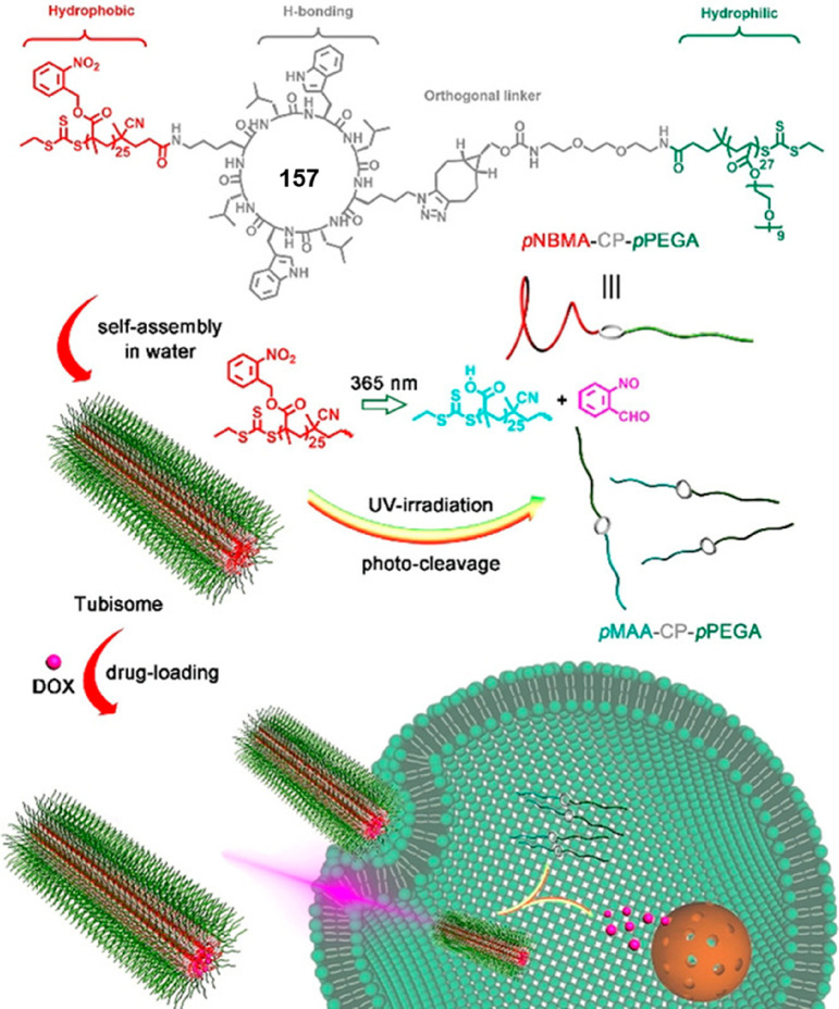 Figure 52