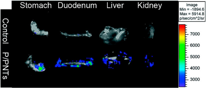 Figure 55