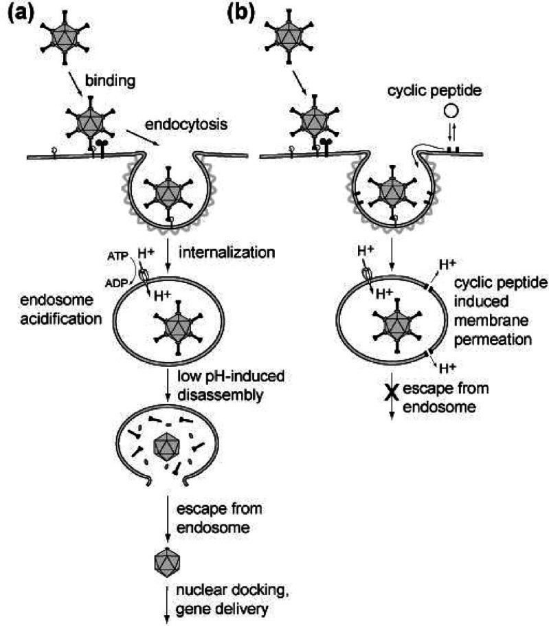 Figure 56