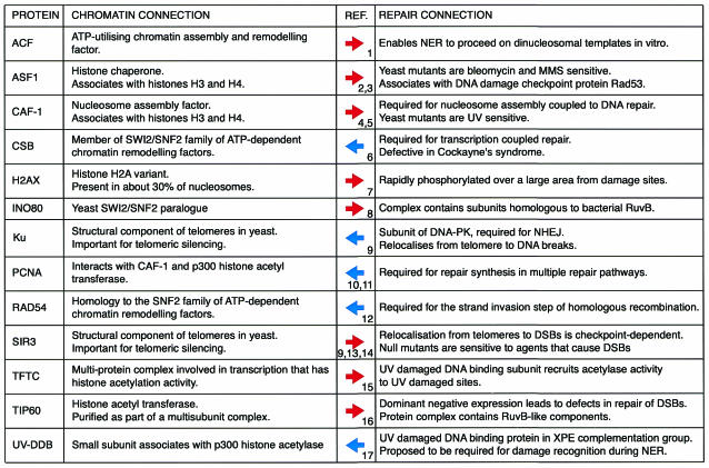 graphic file with name kvf00502.jpg