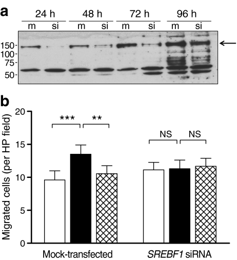 Fig. 6