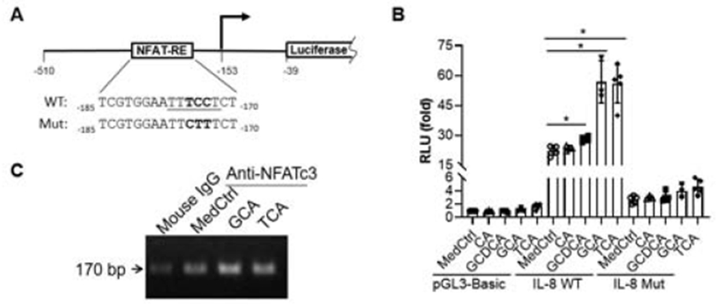 Figure 7.