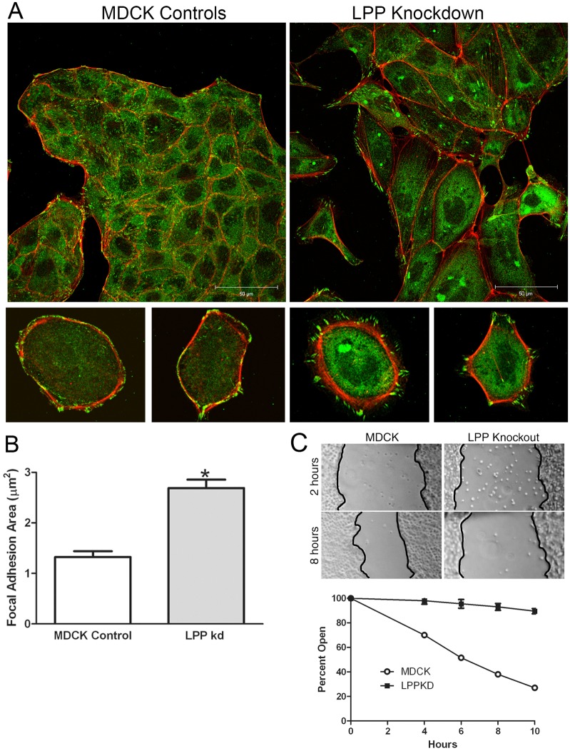 Fig. 9.