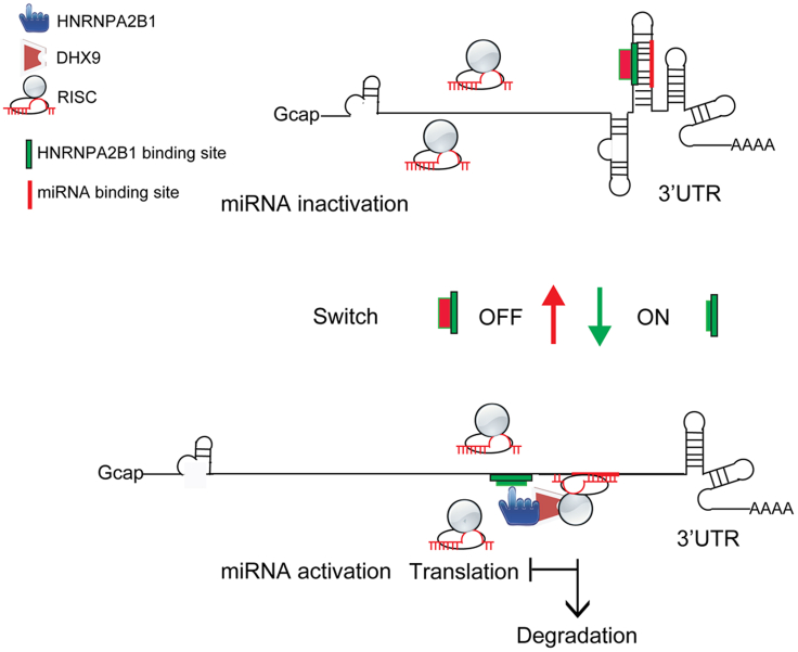 Figure 7