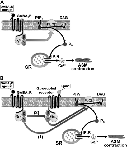 Figure 7.