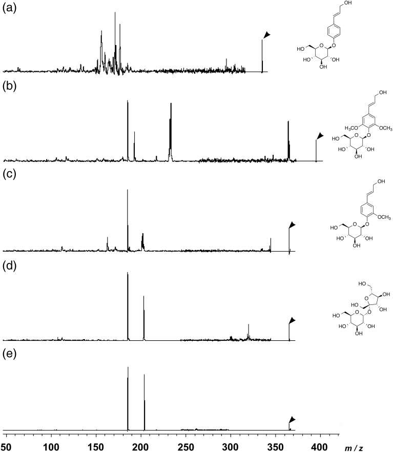 Figure 5.