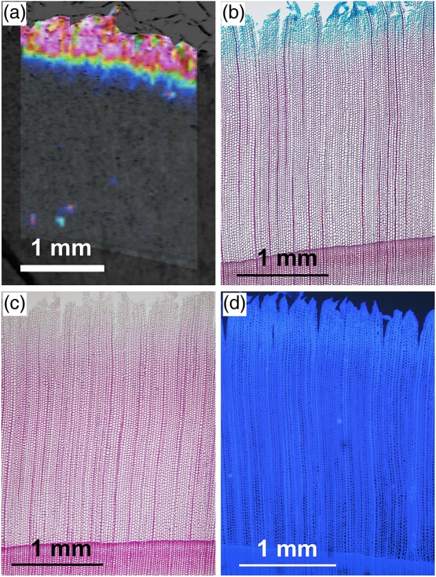 Figure 4.