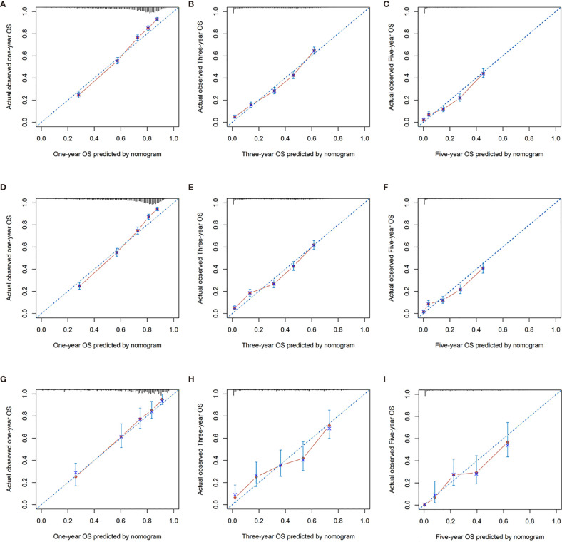 Figure 6