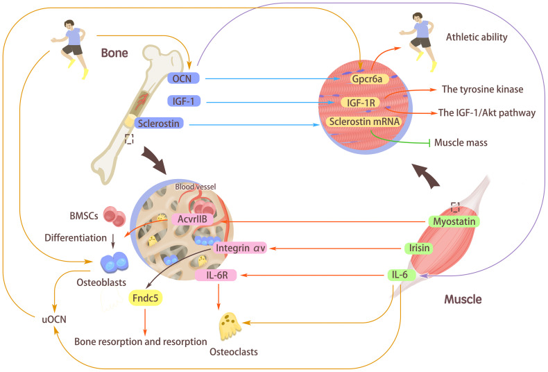 Figure 2