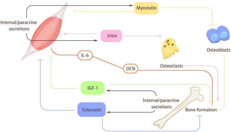 Figure 3