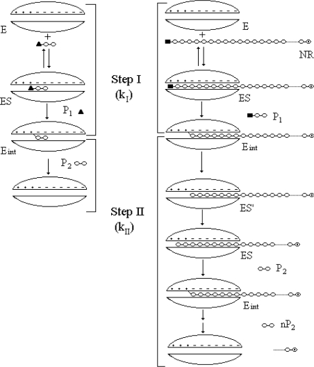 Scheme 3