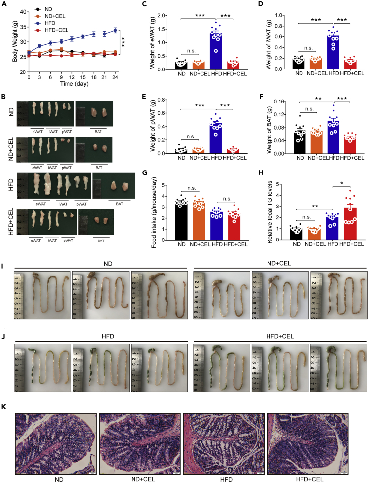 Figure 6