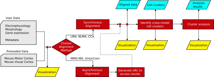 Figure 3