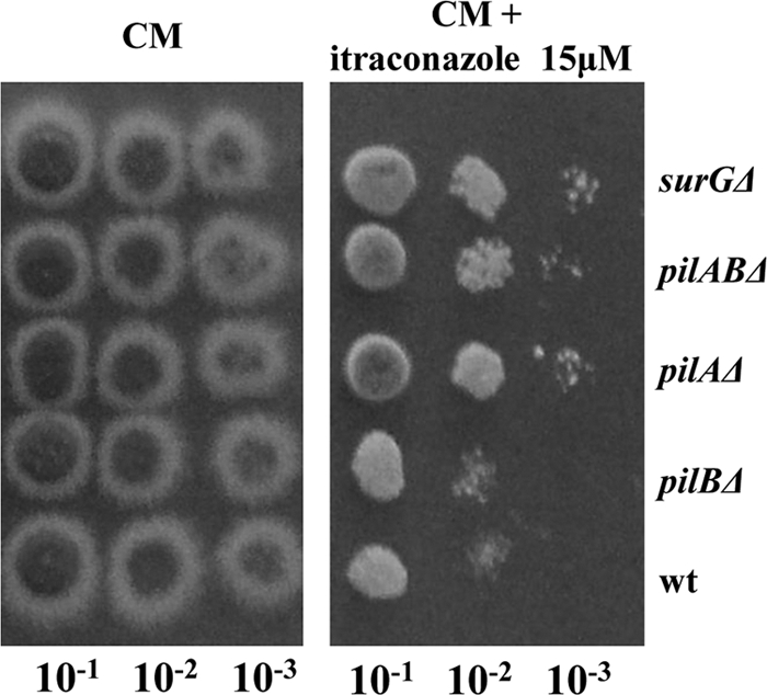 Fig. 7.