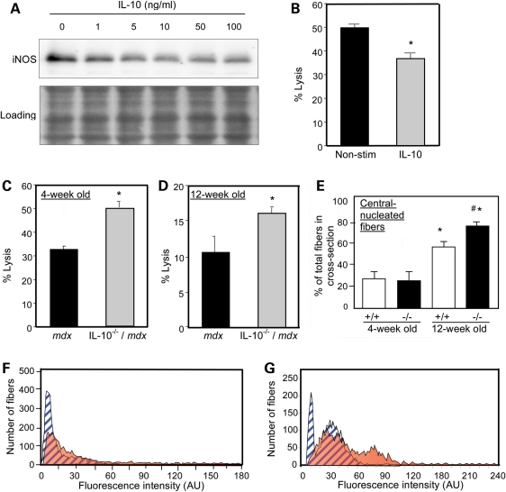 Figure 2.