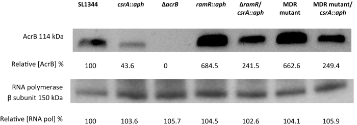 Figure 11.