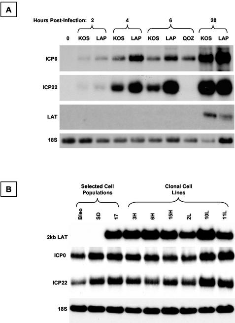 FIG. 9.