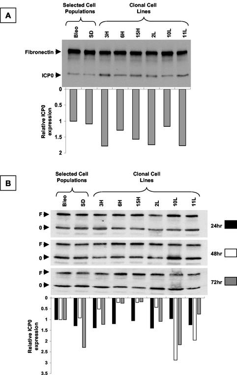 FIG. 8.