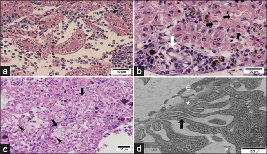 Figure-5