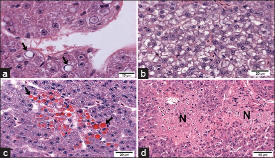 Figure-3