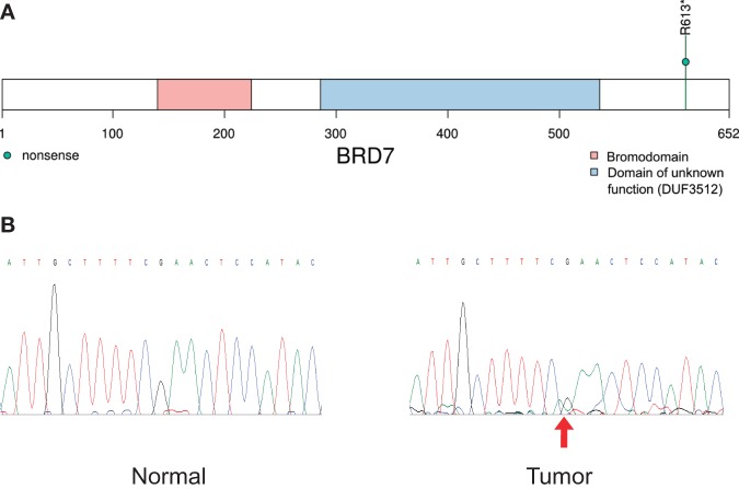 Figure 5.