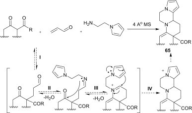 Scheme 27