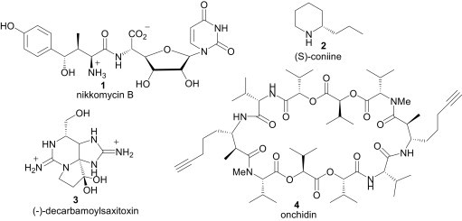 Fig. 1