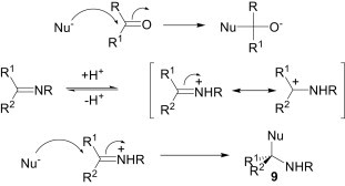 Scheme 3