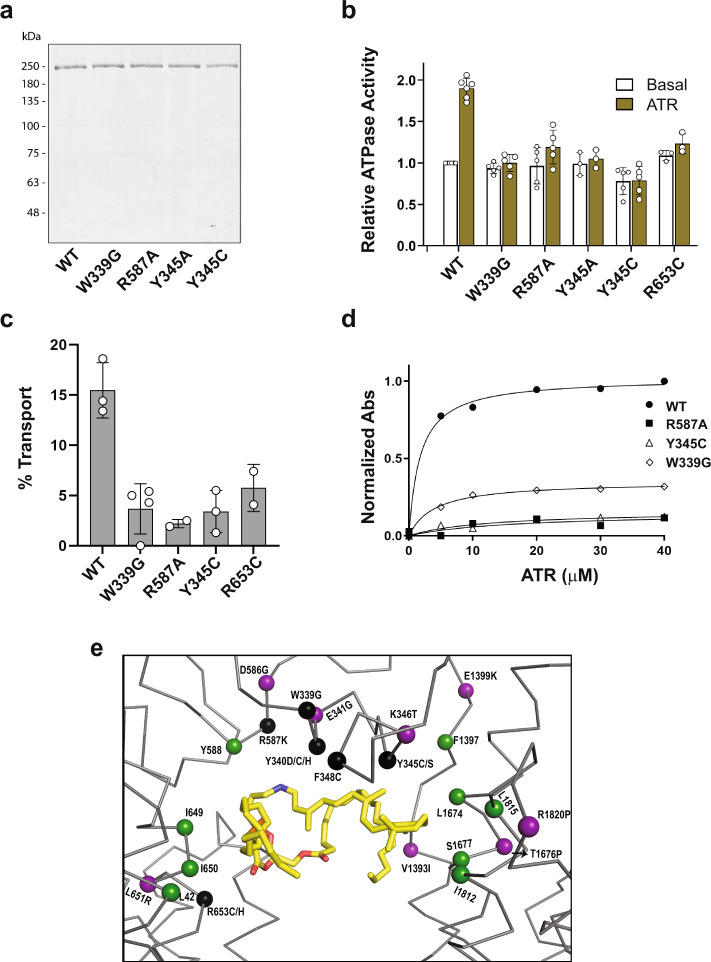 Fig. 8