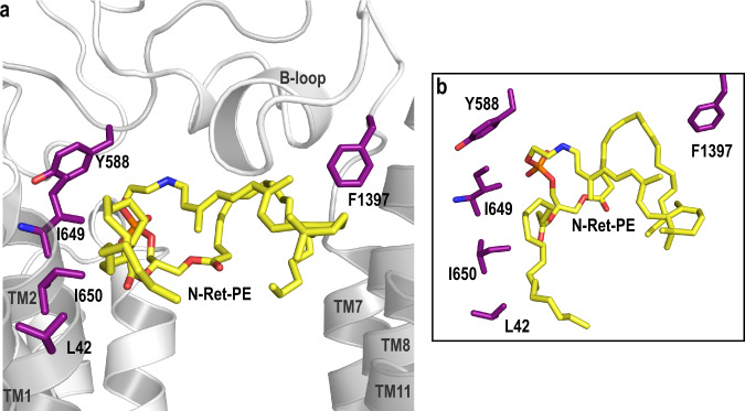 Fig. 7