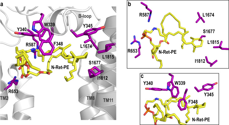 Fig. 6