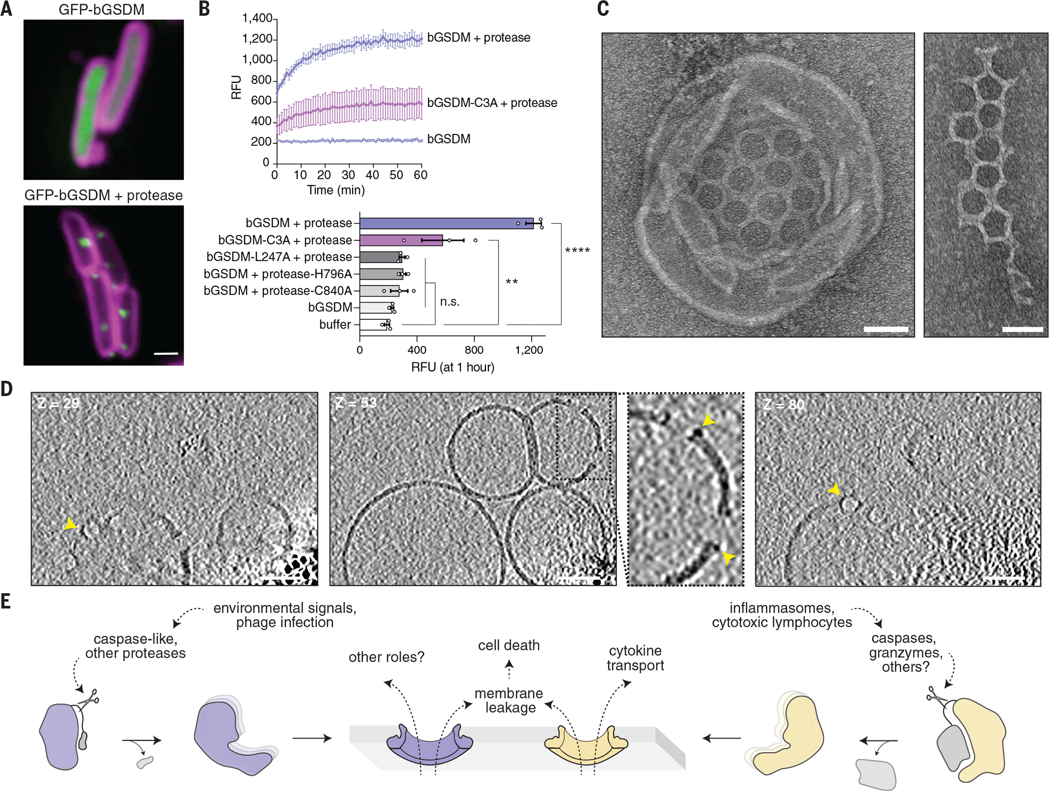 Fig. 4.