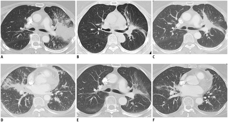 Fig. 5