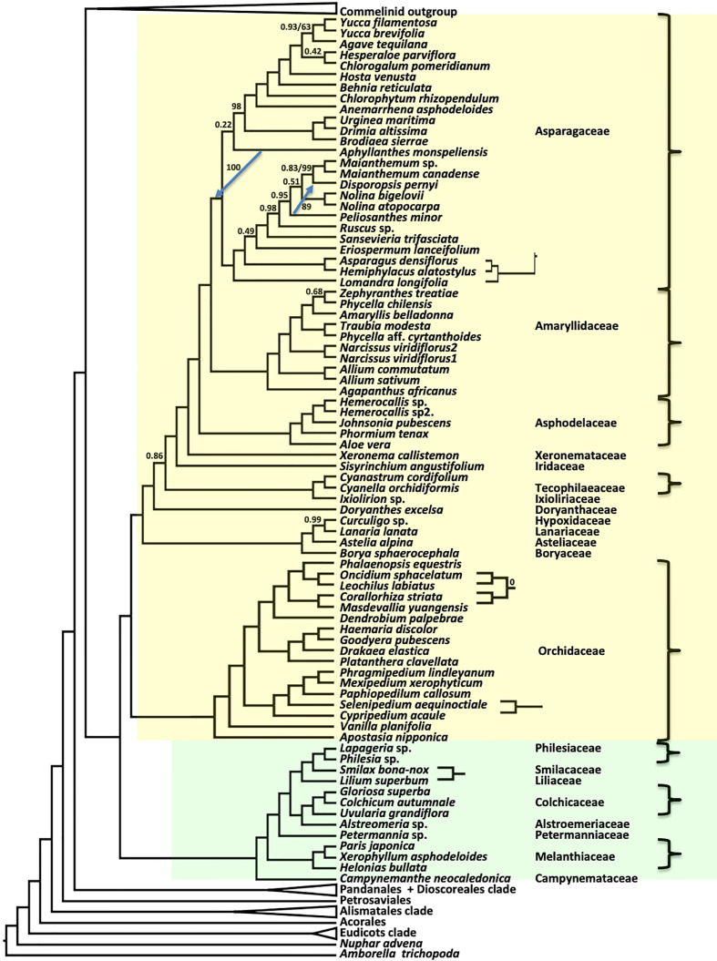 Figure 4