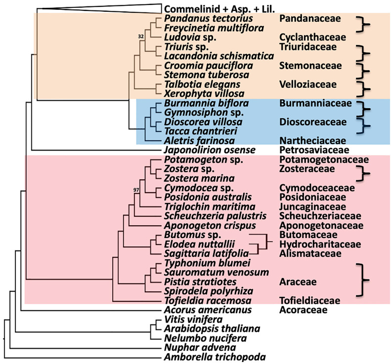 Figure 5